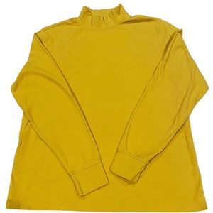 Mock neck long sleeve shirt 𐦍(*ᴗ͈ˬᴗ͈)ꕤ